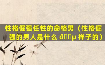 性格倔强任性的命格男（性格倔强的男人是什么 🌵 样子的）